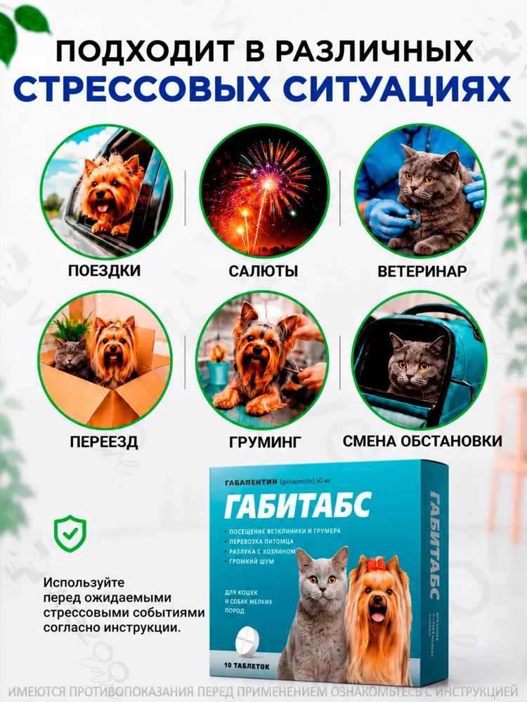 Таблетки для устранения поведенческих расстройств у кошек и собак мелких пород Габитабс 50мг (Apicenna),10таб Габапентин, вариант, фото 2