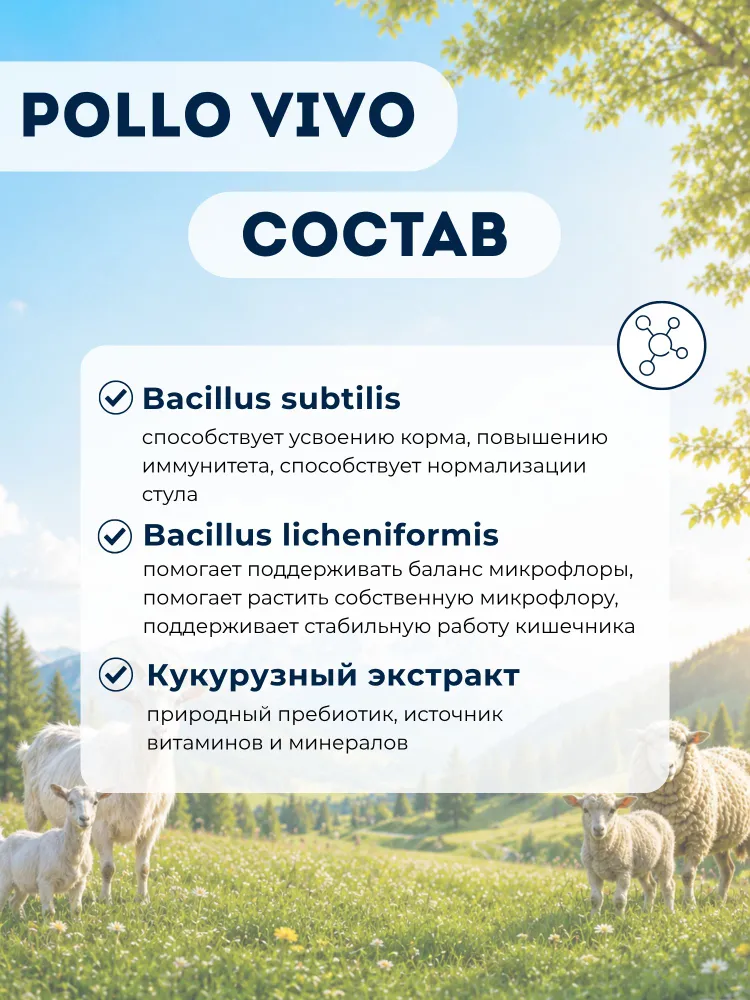 PolloVivo пробиотик для коз и овец, кормовая добавка для пищеварения и микрофлоры, 100 мл, 100 мл, фото 2