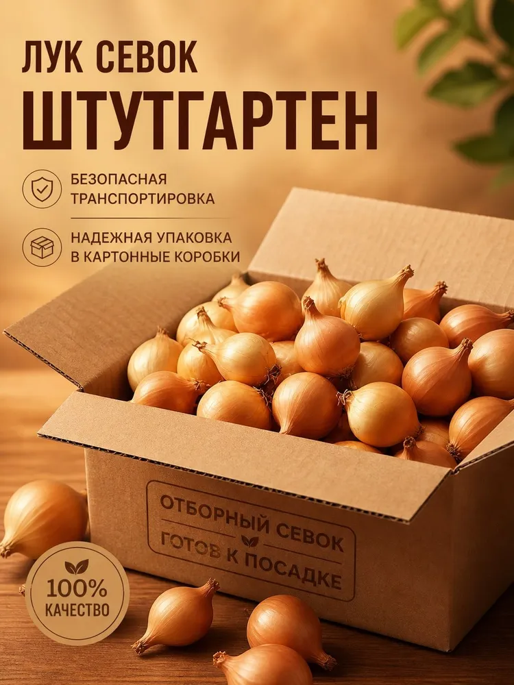Луковицы 1 кг, 1 кг, фото 3