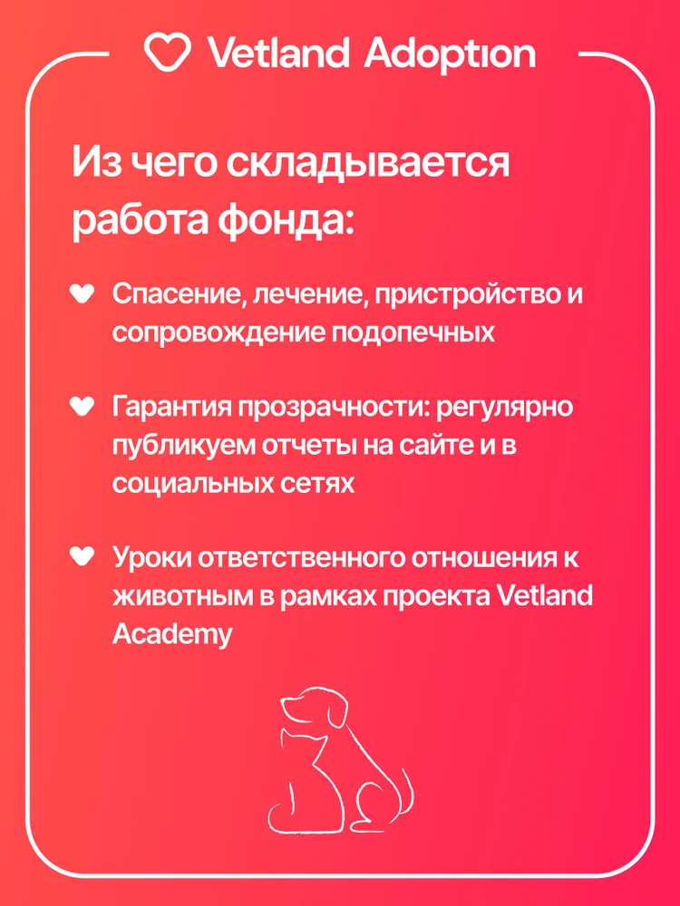 Благотворительный сертификат фонда Vetland Adoption, вариант, фото 5