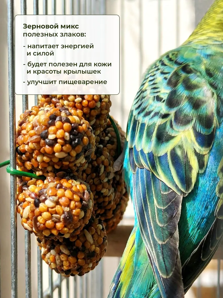 Лакомство для попугаев, вариант, фото 3