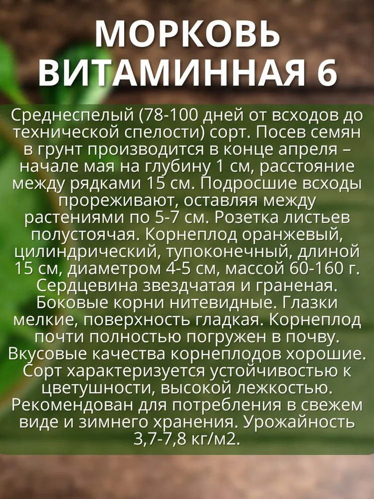 Семена моркови для посадки под зиму Нантская Витаминная Лосинооостровская Московская, вариант, фото 4