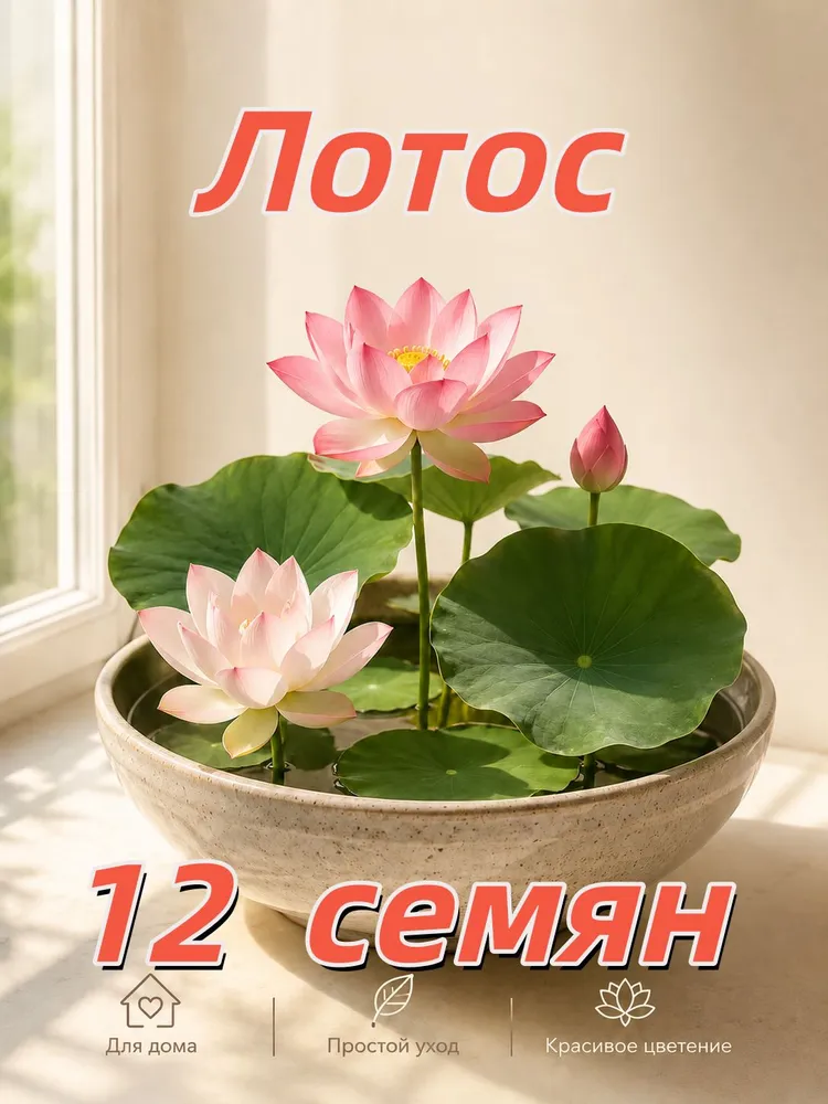 Лотос Орехоносный Люцзян, Семена, 12 шт, 12 шт