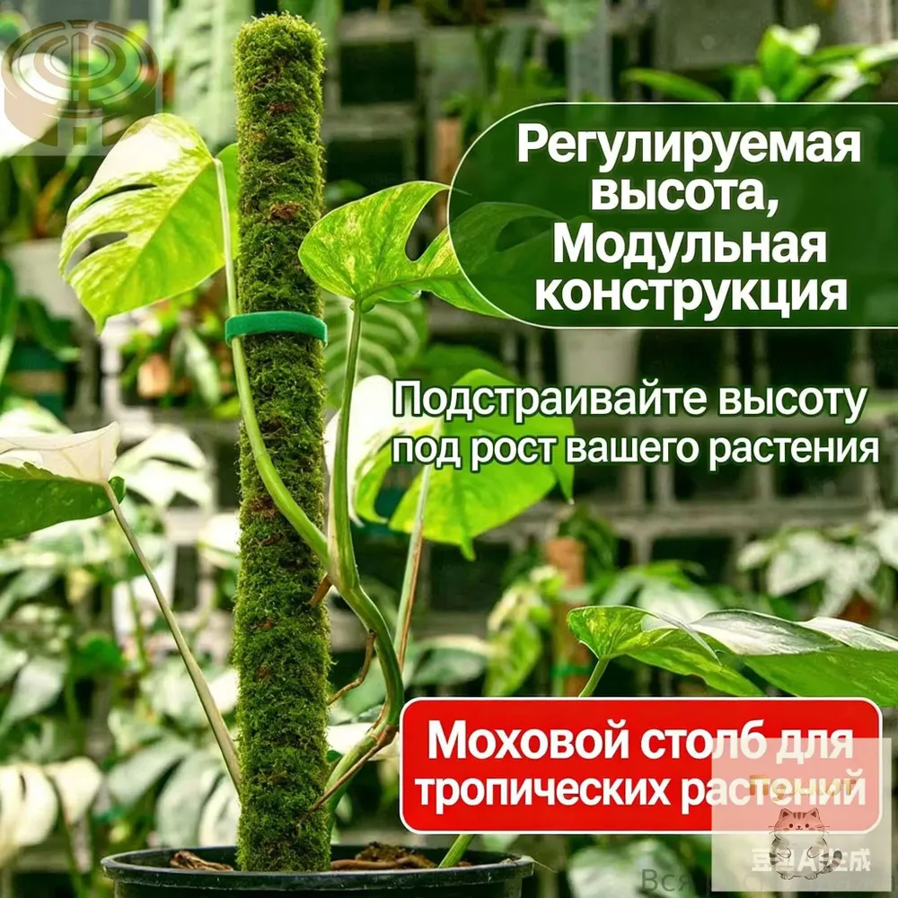 Фитомодуль 24.5 см x 6 см 2 шт, 2 шт, фото 5