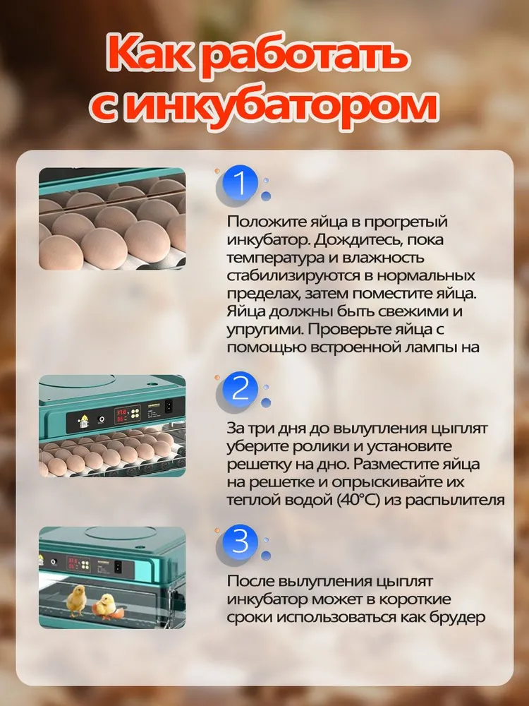 Инкубатор для яиц автоматический ,терморегулятором, гигрометром, овоскопом,60 перепелиных,30 яиц 24 утиных/индюшиных, 18 гусиных яиц 220B/12B, вариант, фото 4