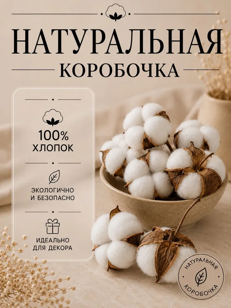 Сухоцветы Хлопок 30-35 см 10 веточек. белый, 30-35, фото 3