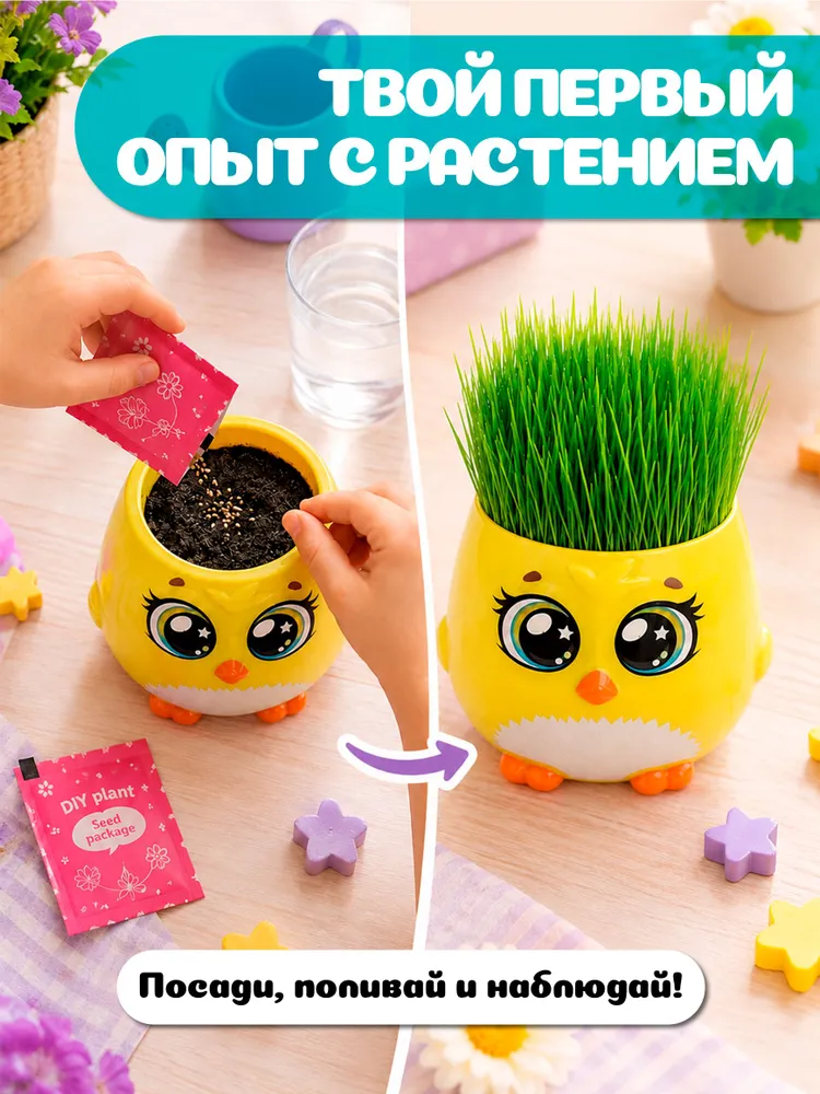 Выращивание растений для детей "Пташки в горшочке" / Новогодние подарки для детей, вариант, фото 4