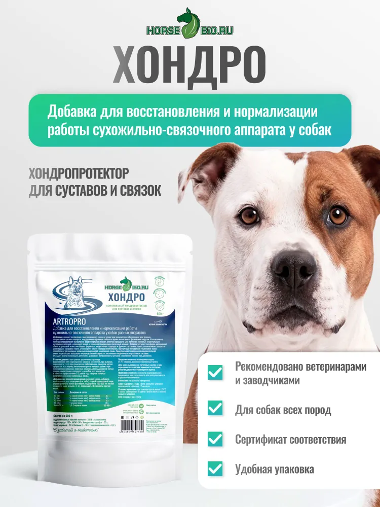 Хондропротектор ХОНДРО Horse-Bio ArtroPro для собак крупных пород, 600 г, 600 г