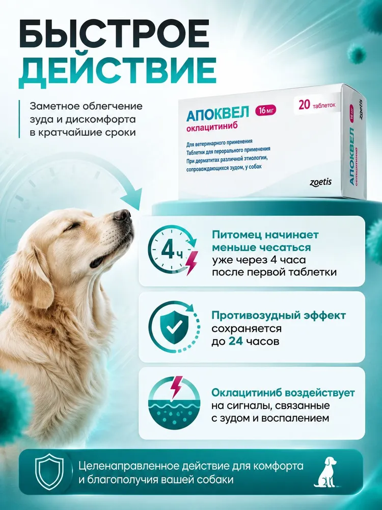 Апоквел (Apoquel Zoetis ) 16 мг 20 таблеток ветеринарный препарат от аллергического зуда для собак и кошек (2 Блистер ) ( Срок Год. 05.2027), 16, фото 3