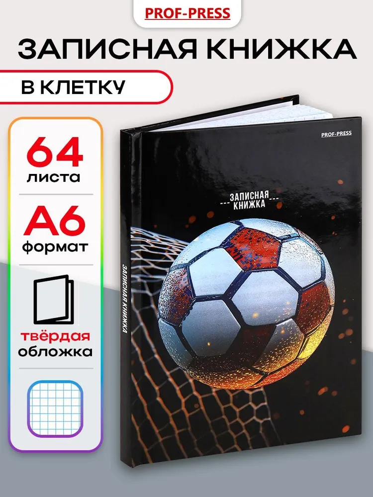 Записная книжка А6 160 листов Prof-Press, 64 листа в клетку