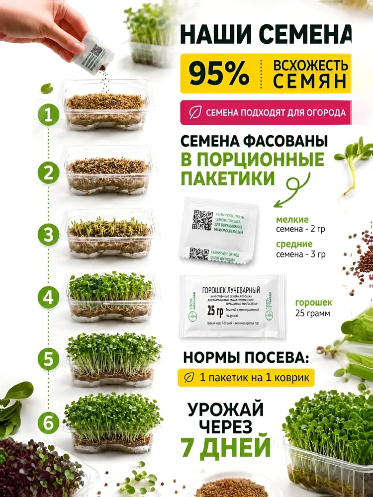 Набор микрозелени В ПОДАРОЧНОЙ КОРОБКЕ для выращивания 10 УРОЖАЕВ, вариант, фото 3