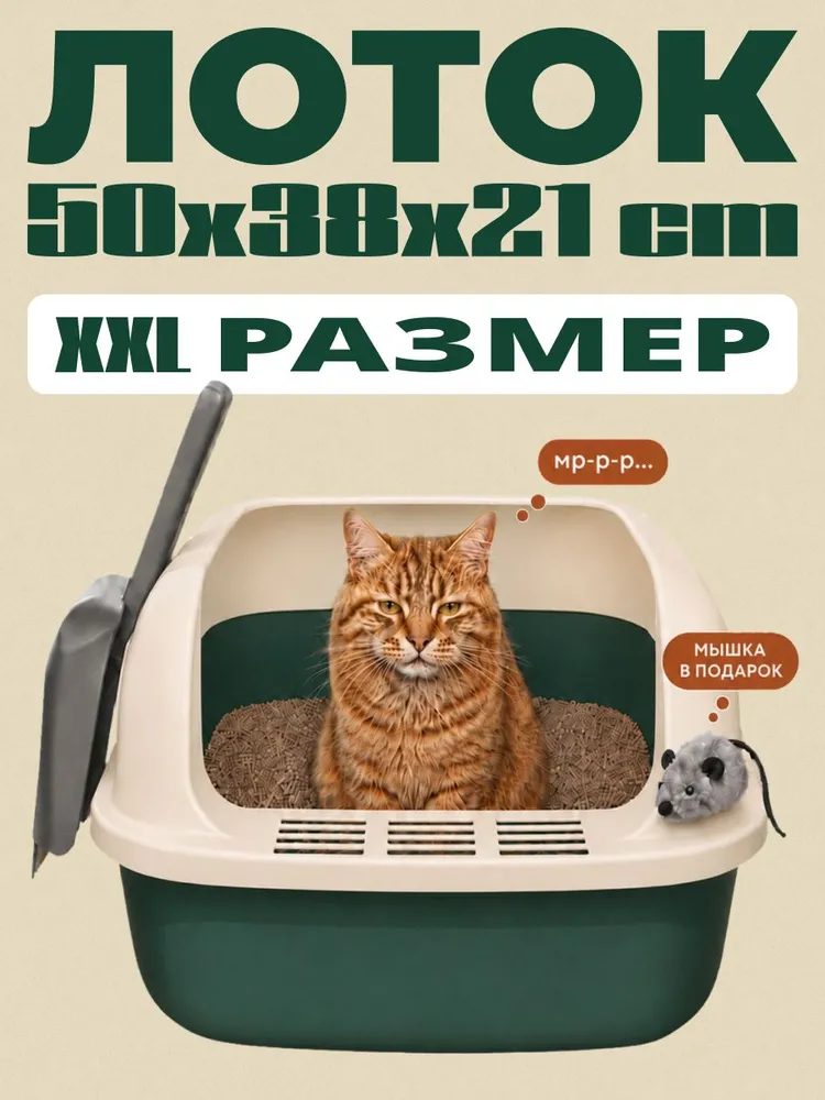 Лоток для кошек большой, с высоким бортом / зелёного цвета / 50x38x21см, 50x38x21 см