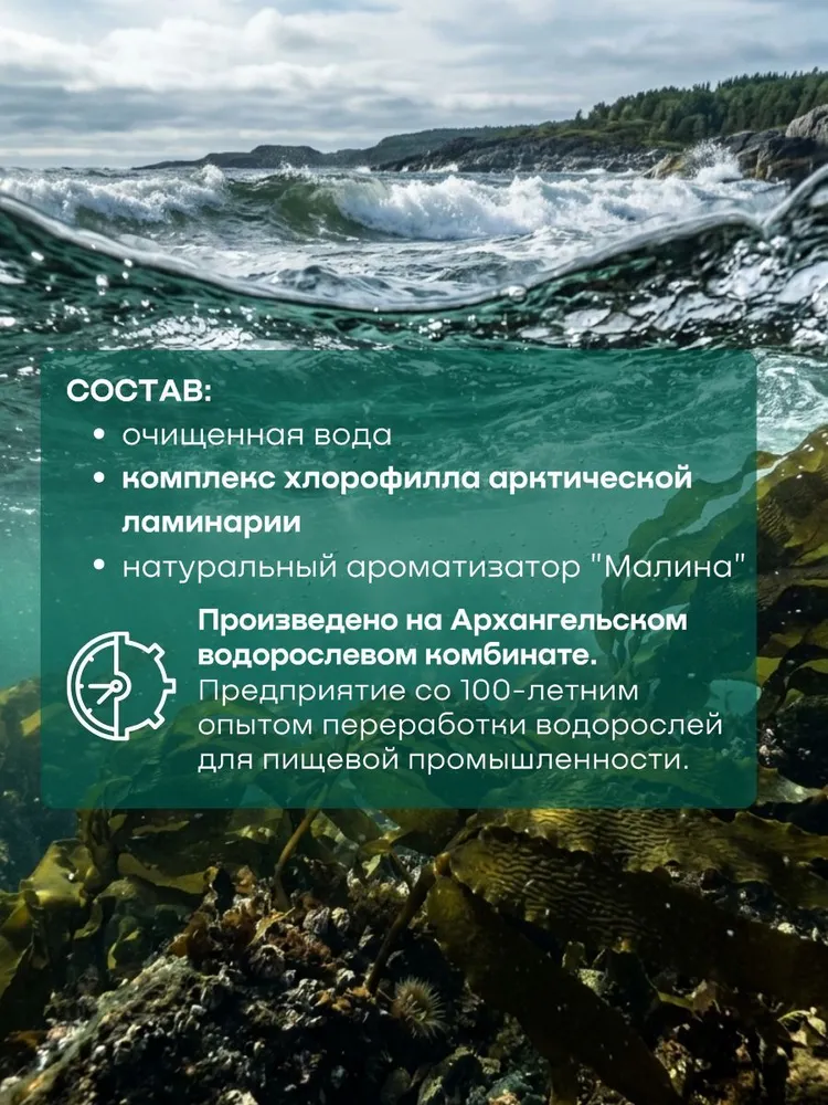Концентрат для безалкогольных напитков Хлорофилл жидкий со вкусом малины, 500 мл, 500 мл, фото 4