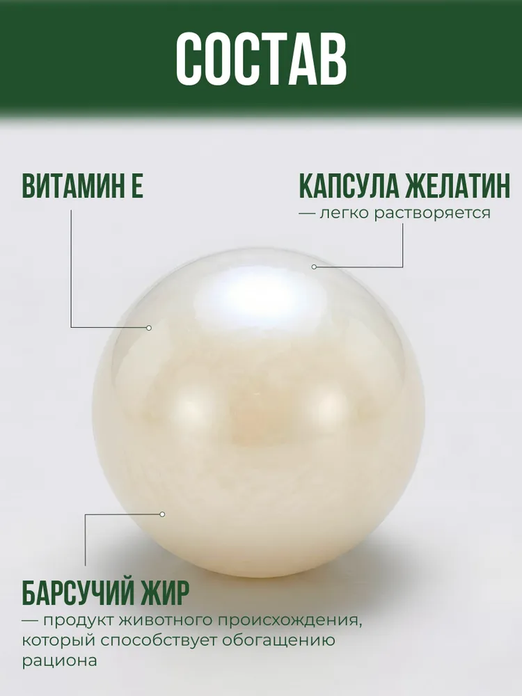 Барсучий жир в капсулах, вариант, фото 4
