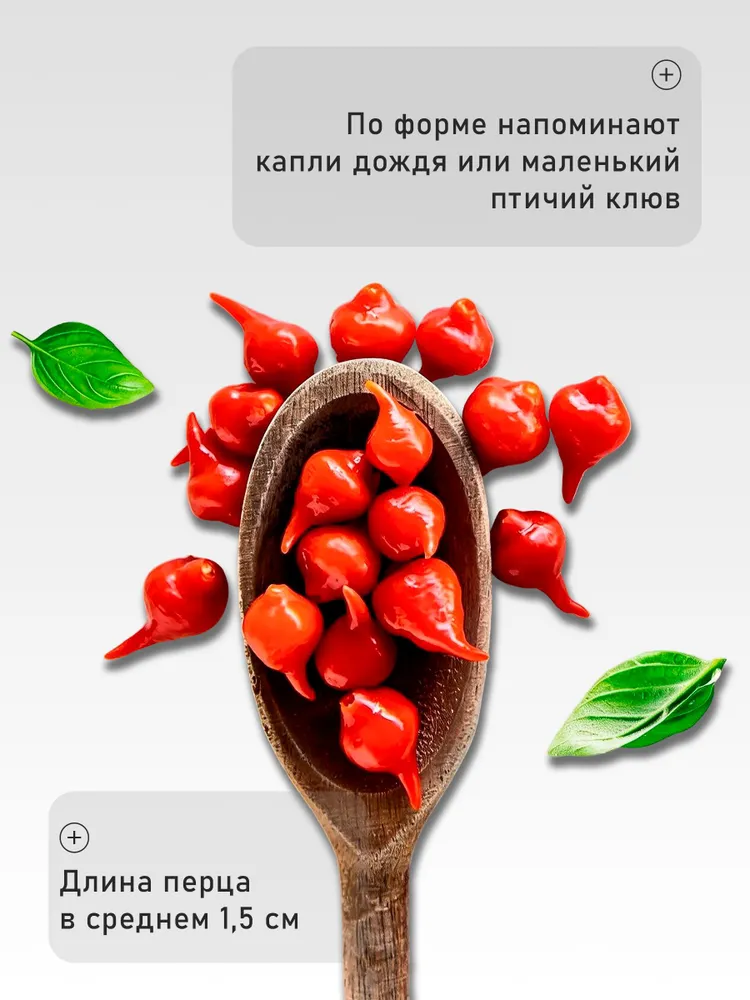 Сладкие красные перцы ISTA Бикиньо мини, 780 г, 780 г, фото 5