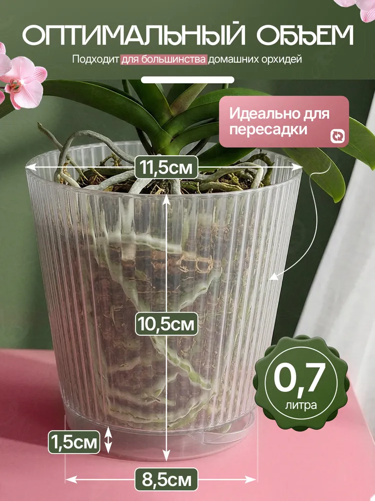 Кашпо для орхидеи набор 2шт, горшок прозрачный 700мл, 2 шт, 700 мл, фото 5