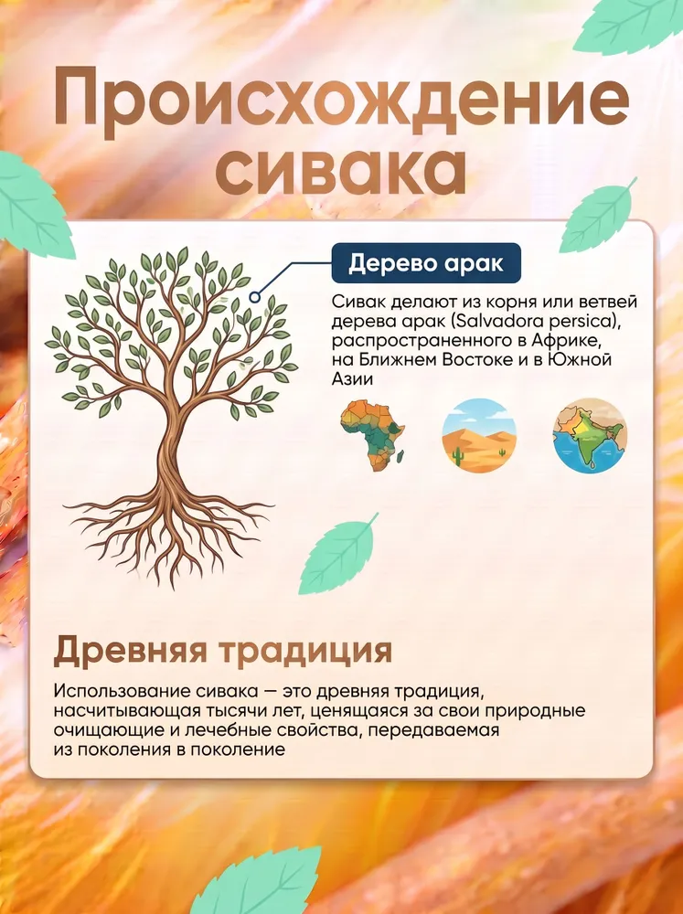 сивак, мисвак, палочка для чистки зубов, SWAK AL-FATAH / 1 шт, 1 шт, фото 6
