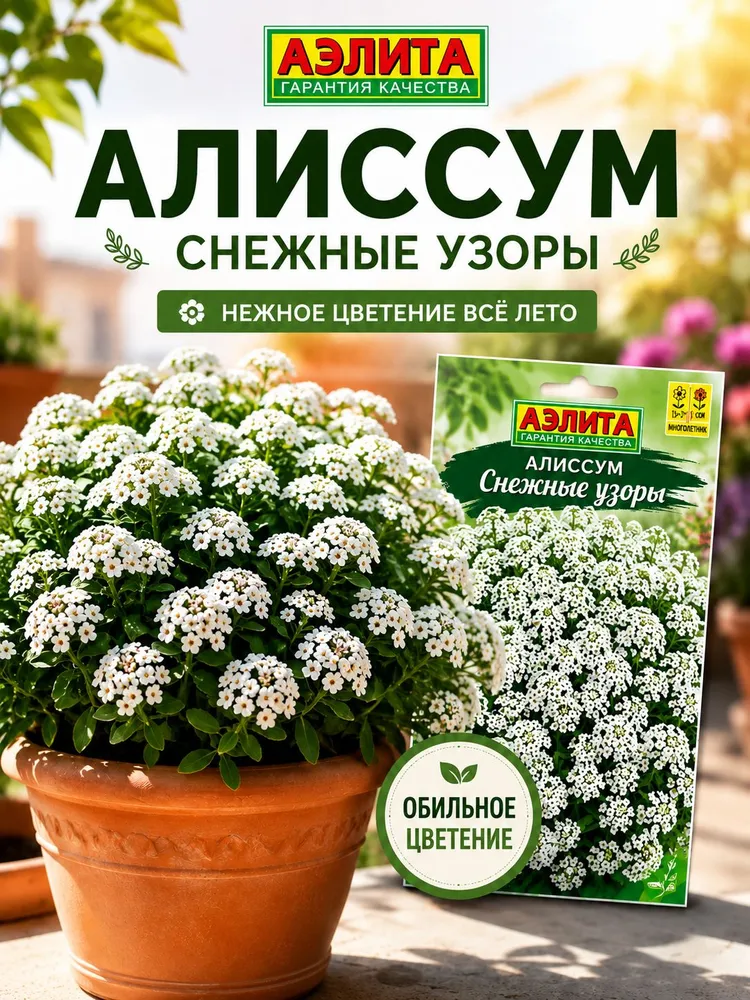 Алиссум семена Снежные узоры 1 пачка, вариант
