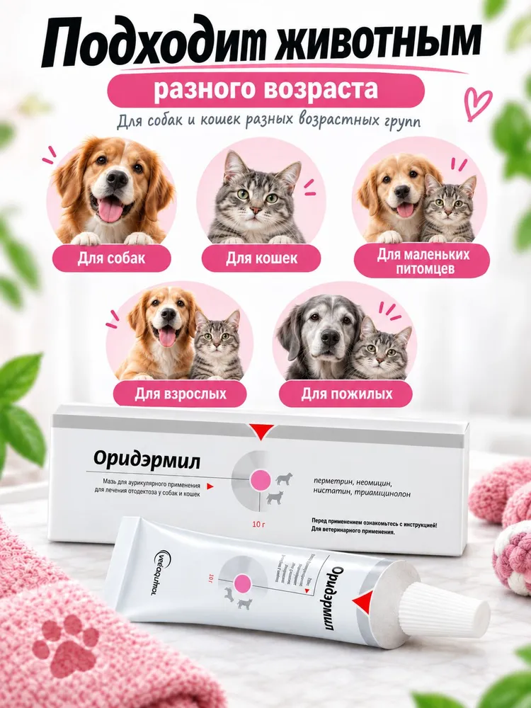 Оридэрмил (Oridermyl) 10 г мазь для ушей; срок годности 02.2027; для собак и кошек против отодектоза; оридермил, 10 г, фото 2