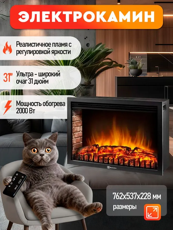 Камин электрический очаг Electrolux EFP/P-3020LS-New2024, вариант