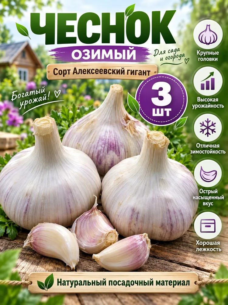 Чеснок озимый Алексеевский гигант на посадку 3 шт, 3 шт
