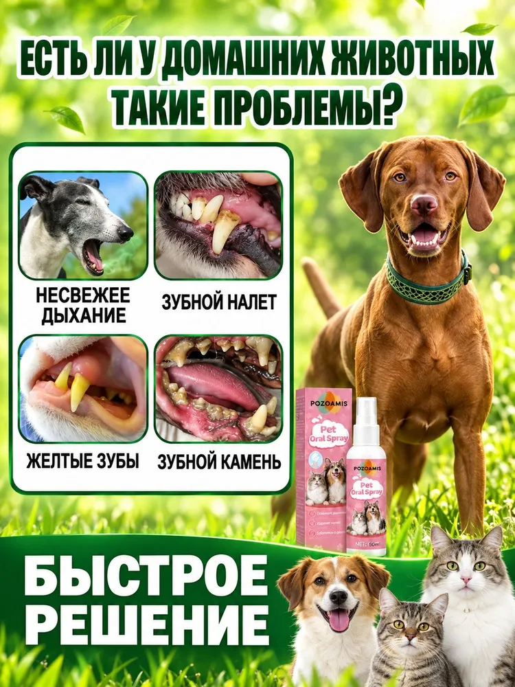Спрей для гигиены полости рта питомцев От зубного камня и налета, устраняет запах изо рта, натуральный состав, не требует чистки щеткой, 30 мл, 30 мл, фото 2