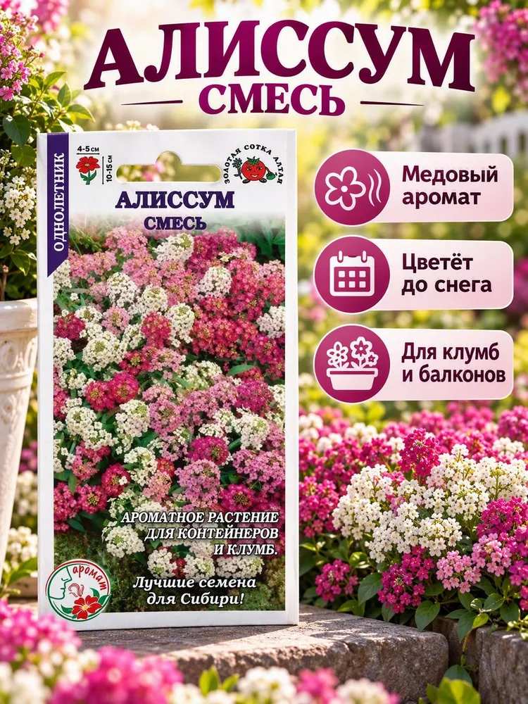 Алиссум смесь /Сотка/ 0,1г/ 15см, d-5см/*, 0,1 г