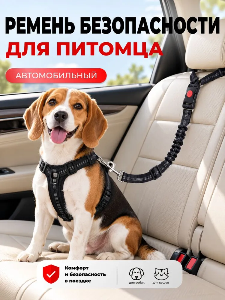 Ремень безопасности для животных, вариант