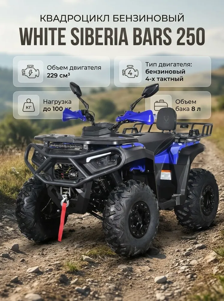 Бензиновый квадроцикл WHITE SIBERIA BARS 250 Серый, синий