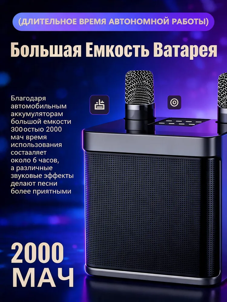 Портативная караоке-система с 2 микрофонами., вариант, фото 3