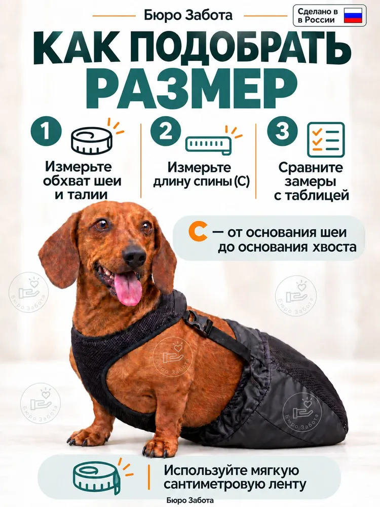Защитные ползунки для собак инвалидов S, вариант, фото 2