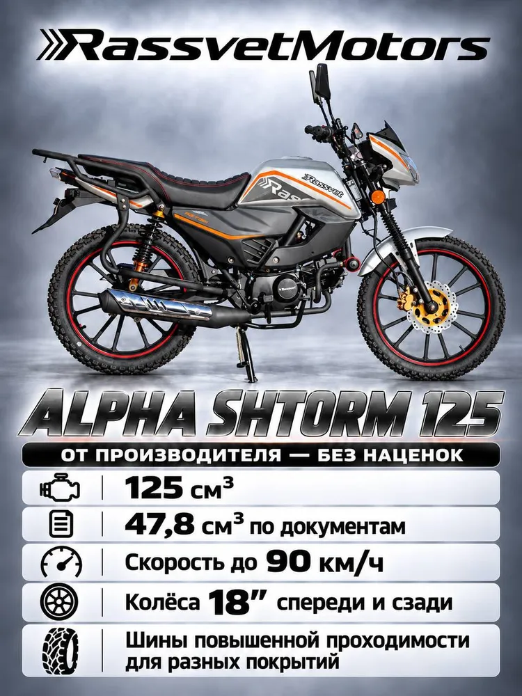 Мопед Rassvet Alpha Shtorm 48 куб. см черный (2026 г.в.), серый