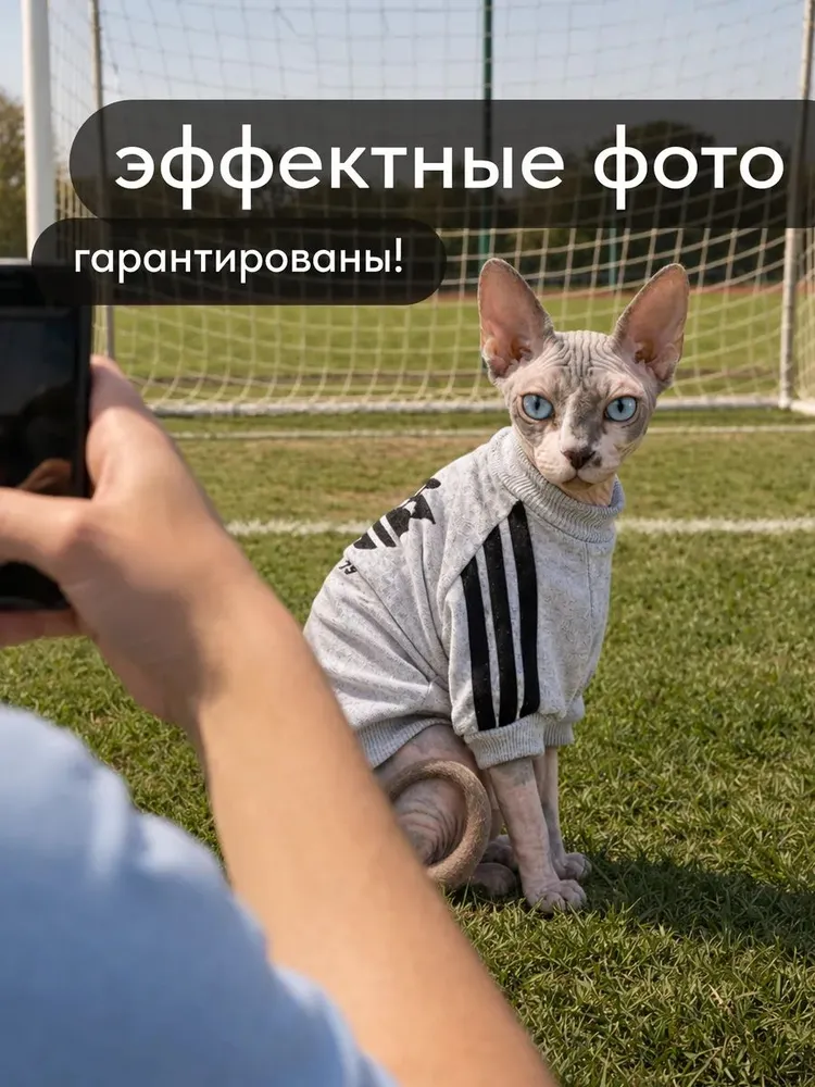 Одежда для кошек. Футболка для сфинксов взрослых из хлопка, размер M, вариант, фото 6