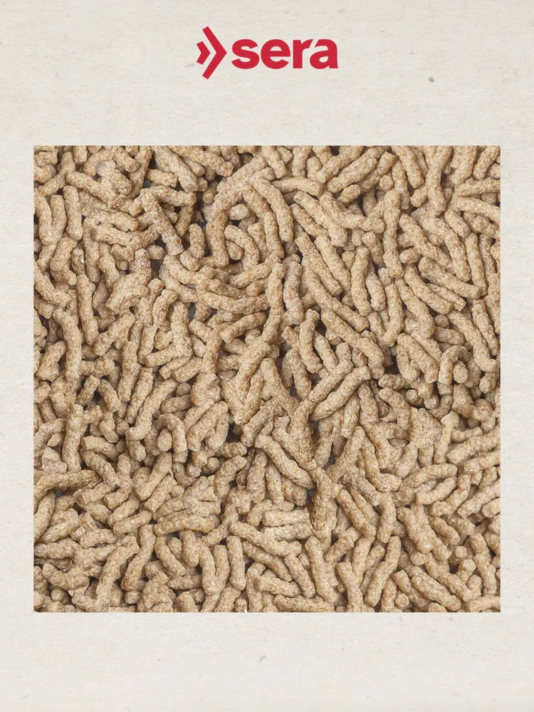 Корм для цихлид Sera Cichlids Sticks в палочках, ведро 10 л, 2 кг, S0220, 10 л, 2 кг, фото 2