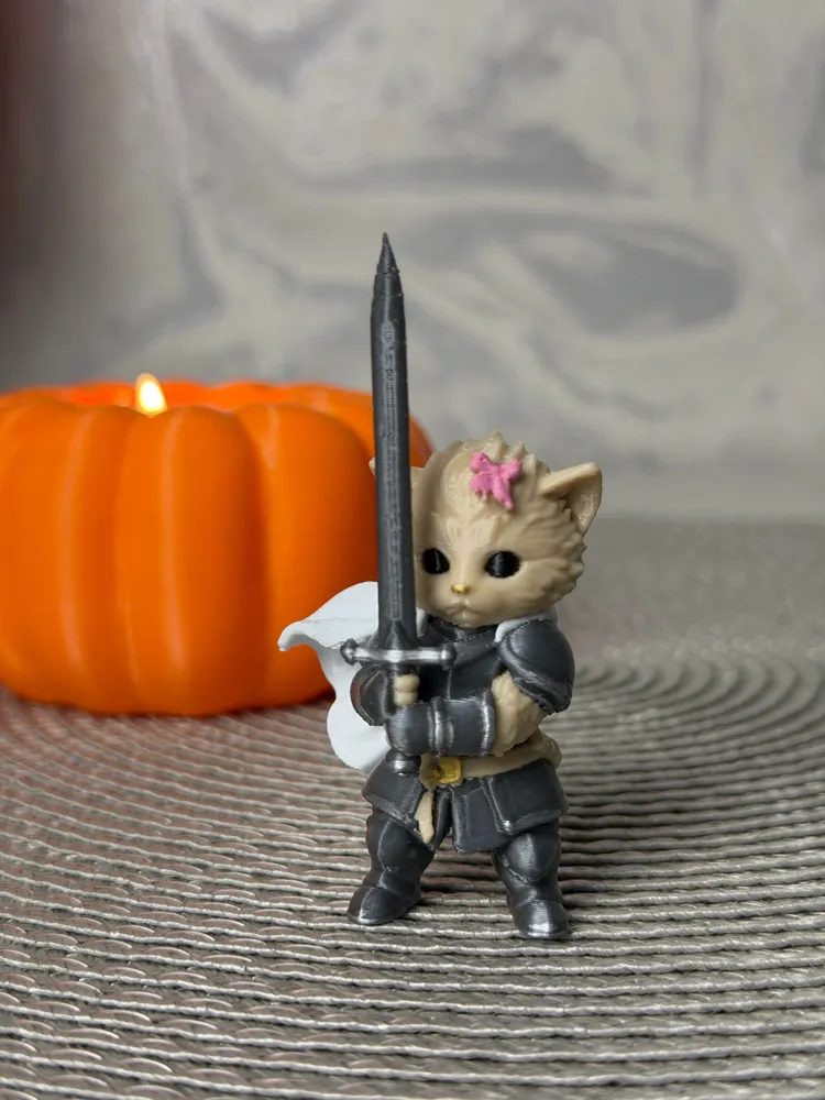 котик рыцарь / knight cat, вариант, фото 2