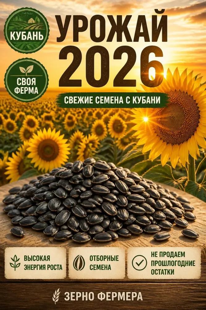 Семечки подсолнечника для проращивания микрозелени сырые в скорлупе Зерно Фермера, 800 г, 800 г, фото 2