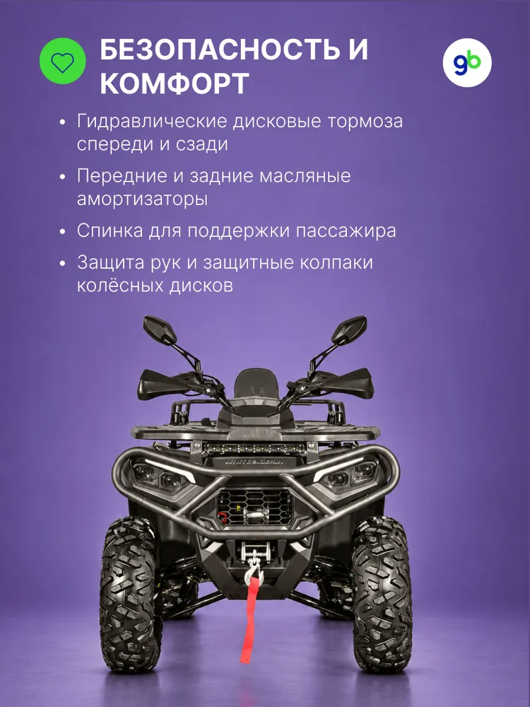 Бензиновый квадроцикл WHITE SIBERIA BARS 250 CC - Чёрный, черный, фото 3