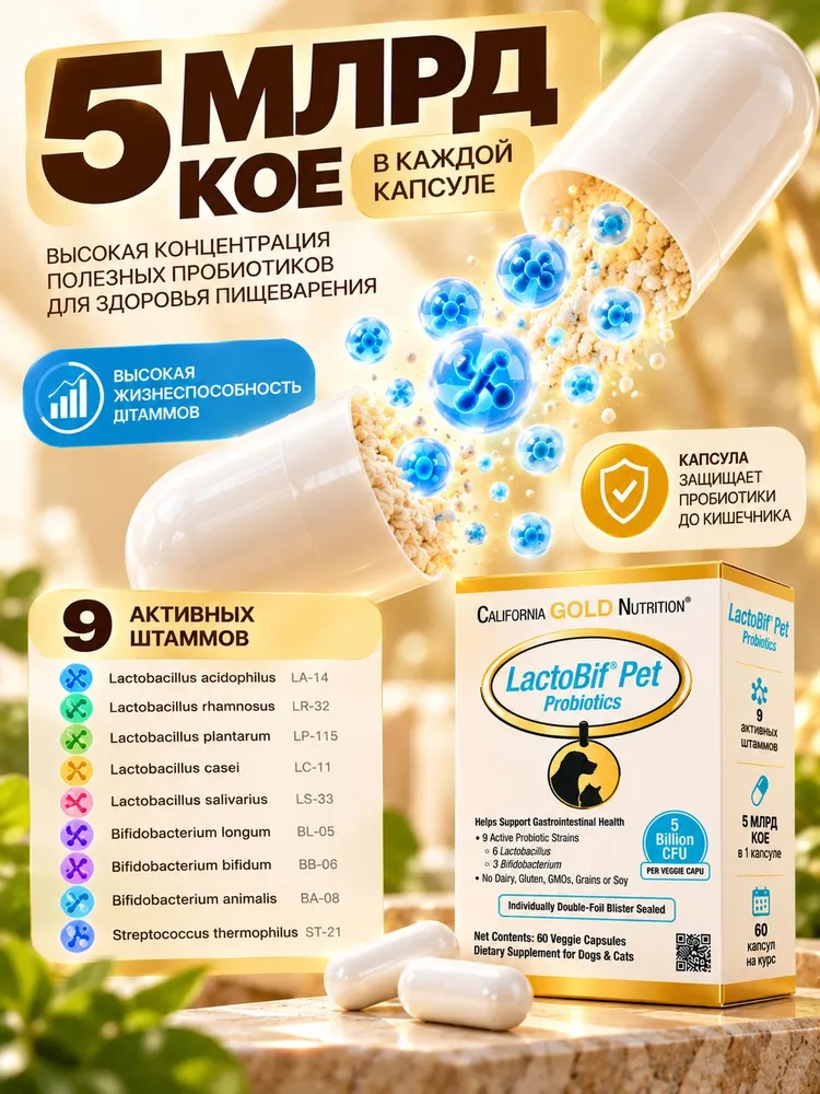 Пробиотики для собак и кошек California Gold Nutrition LactoBif Pet 5 млрд КОЕ для пищеварения 60 капсул, золотой, фото 2