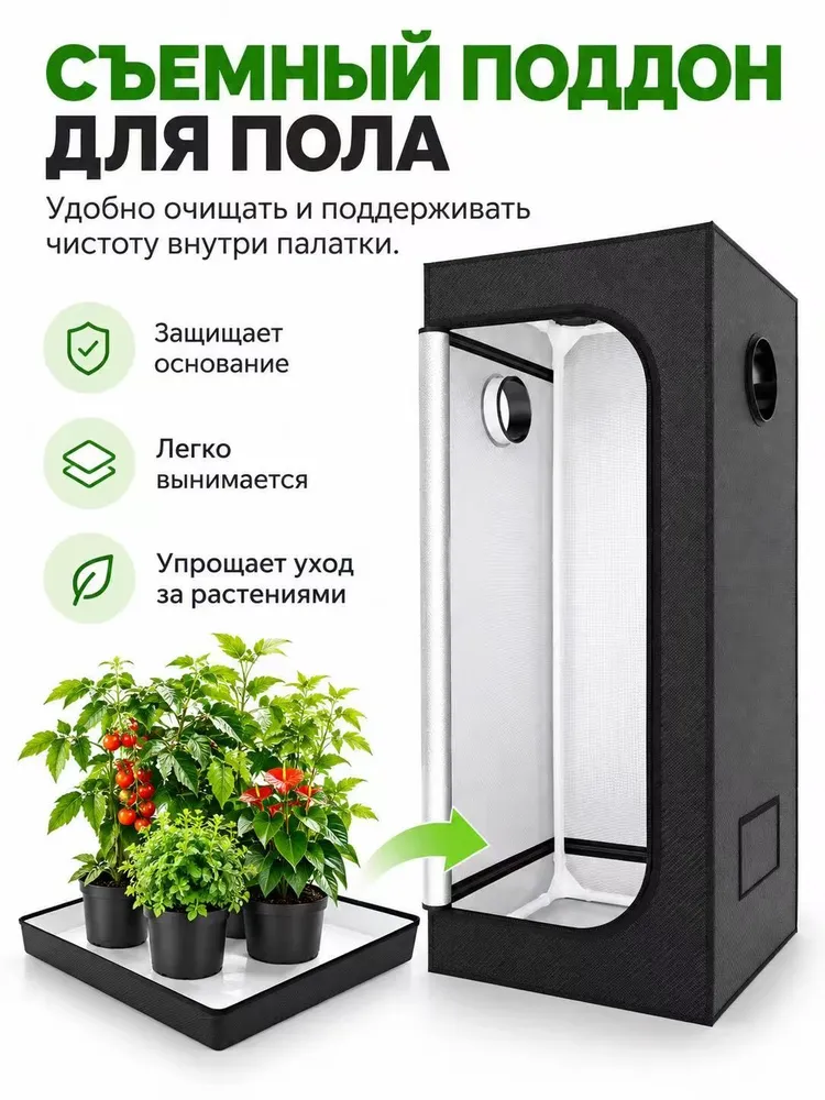 Гроубокс, вариант, фото 6