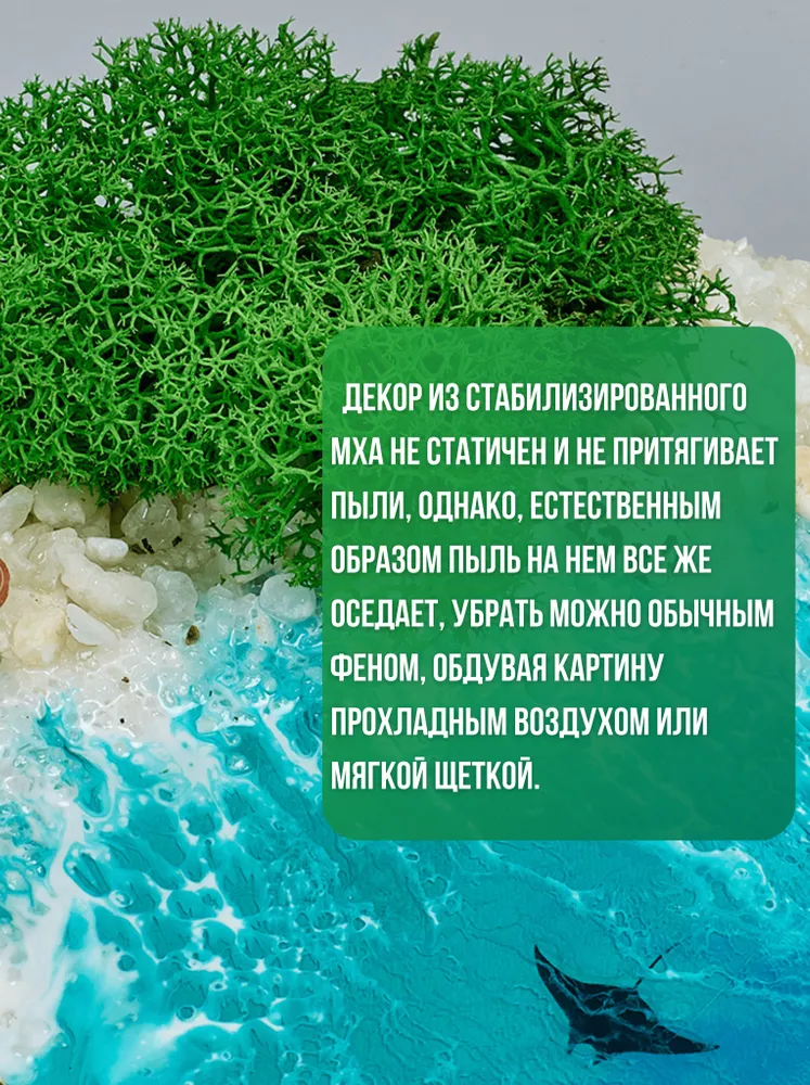 Творческий набор для рисования эпоксидной смолой Resin Art "Сердце-море" с живым мхом. Набор для домашнего творчества для взрослых и детей, арт терапия., вариант, фото 4