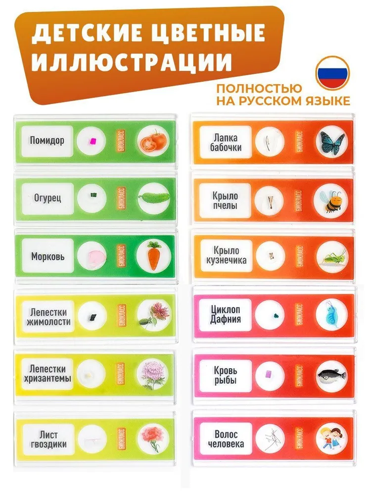 Препараты для микроскопа БИОКЛАСС 48 шт, образцы для микроскопа: Насекомые, Растения, Животные, Человек, Овощи, 48 шт, фото 4