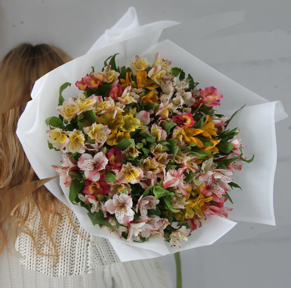 Decoriflora Альстромерия, цвет красный, зеленый,  19 шт, 19 шт