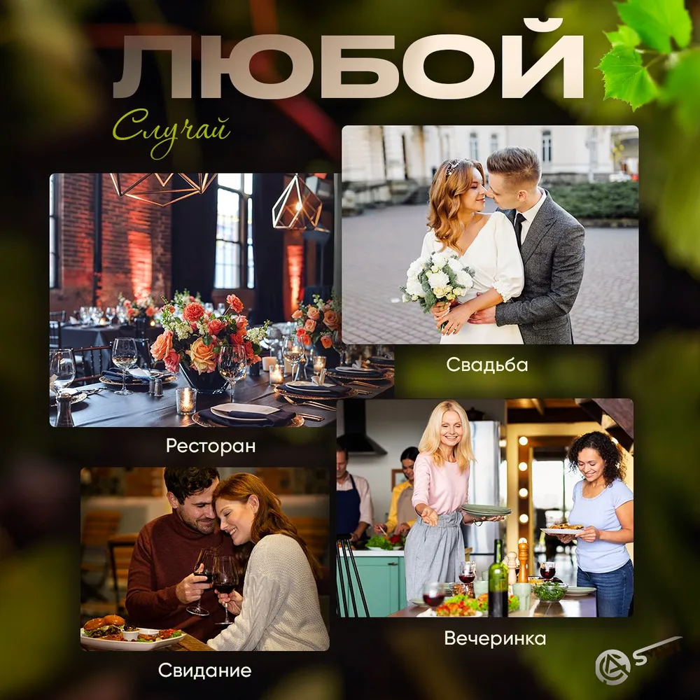 Электрический штопор с встроенным аккумулятором для вина и шампанского с USB кабелем, вариант, фото 6