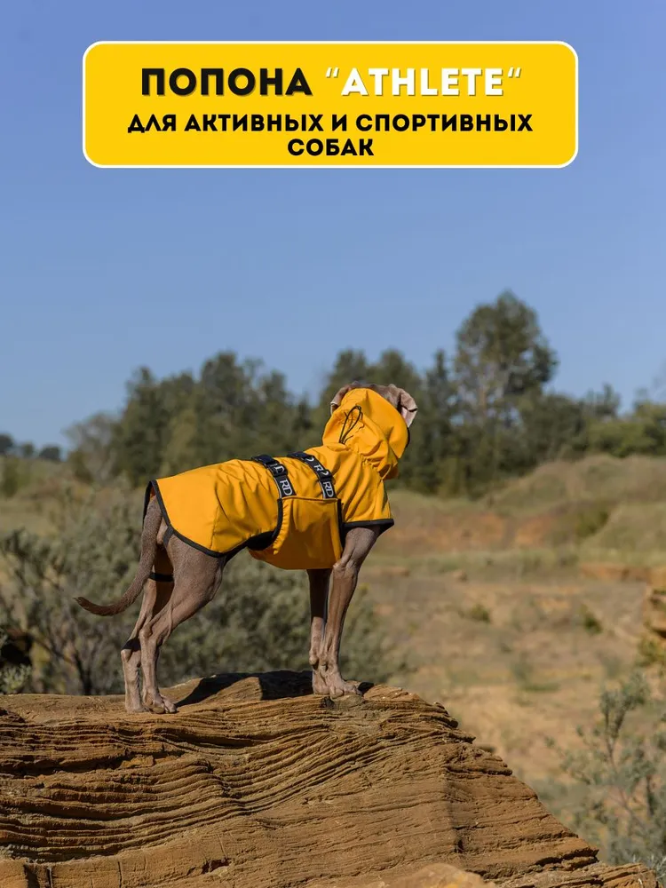 Попона демисезонная для собак, размер 55 (4XL) , мед, вариант, фото 4