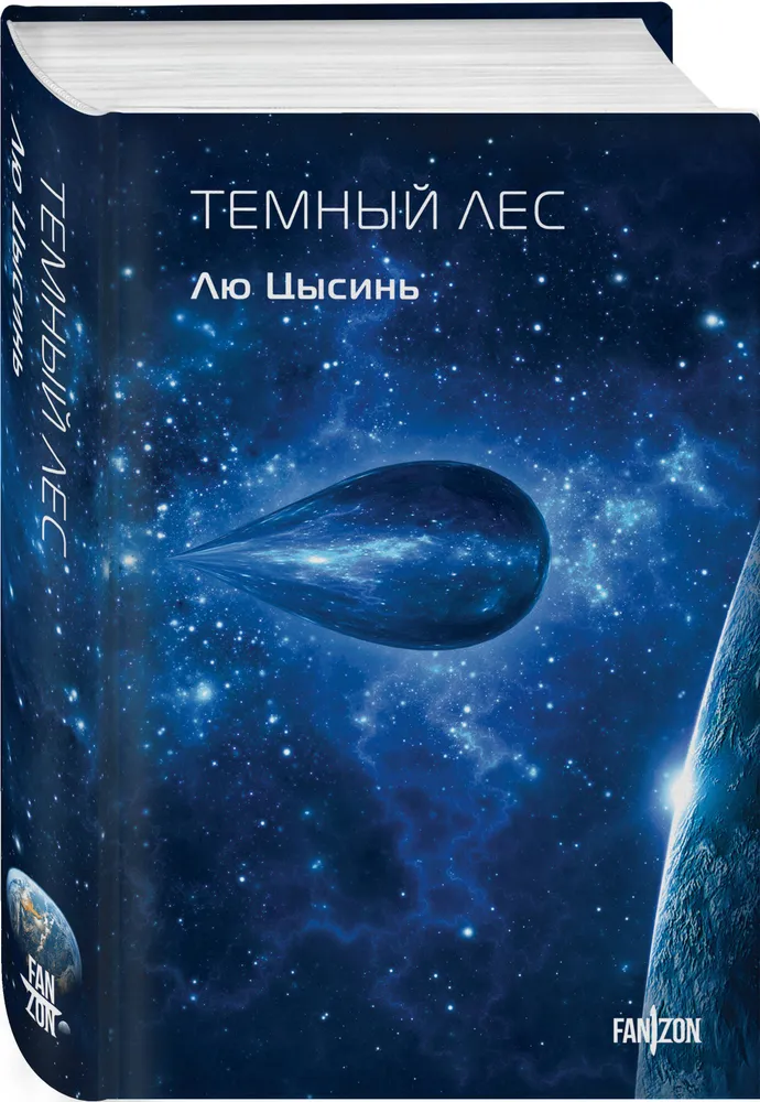 Темный лес, вариант, фото 6