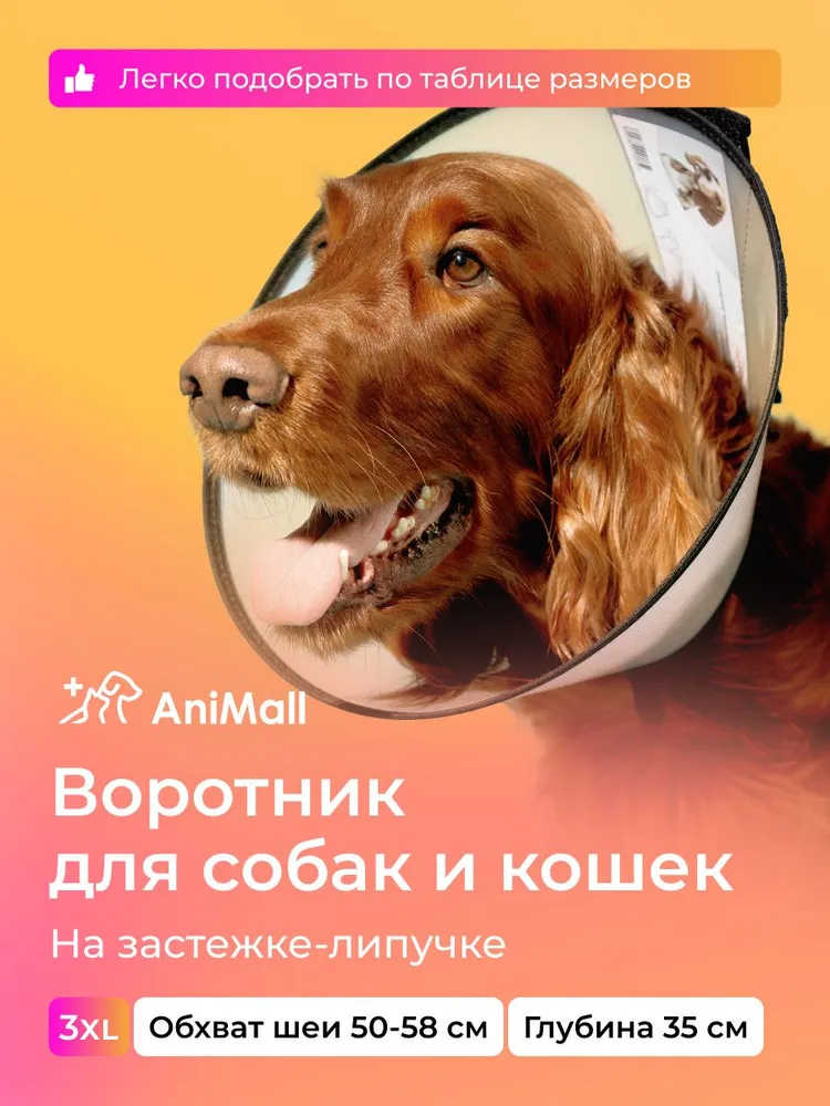 Воротник защитный ветеринарный для собак и кошек № 30 см, на липучке для крупных пород / AniMall, ветеринарный 35 на липучке