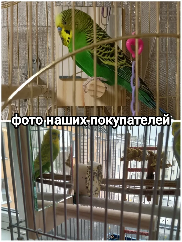 Зеркало жердь для птиц; игрушка для попугая в клетку, вариант, фото 4
