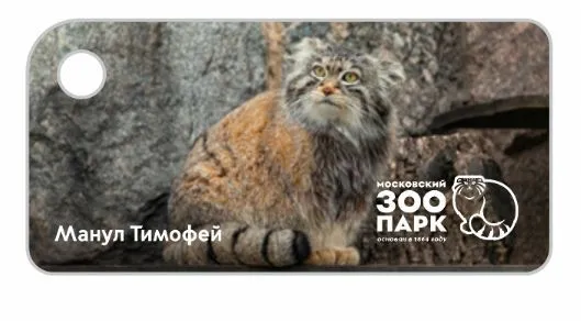 Брелок "Тройка" Московский зоопарк - Манул Тимофей, рыжий, вариант, фото 2