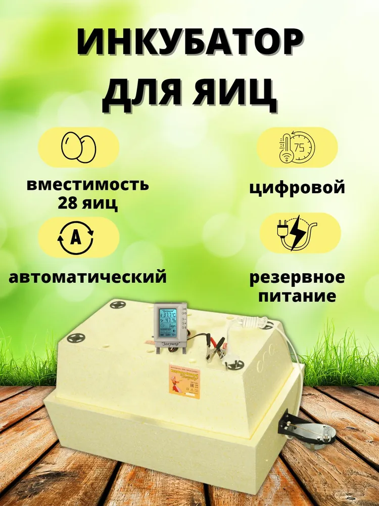 Автоматический инкубатор для яиц Золушка 2020 на 28 яиц 220/12В, вариант