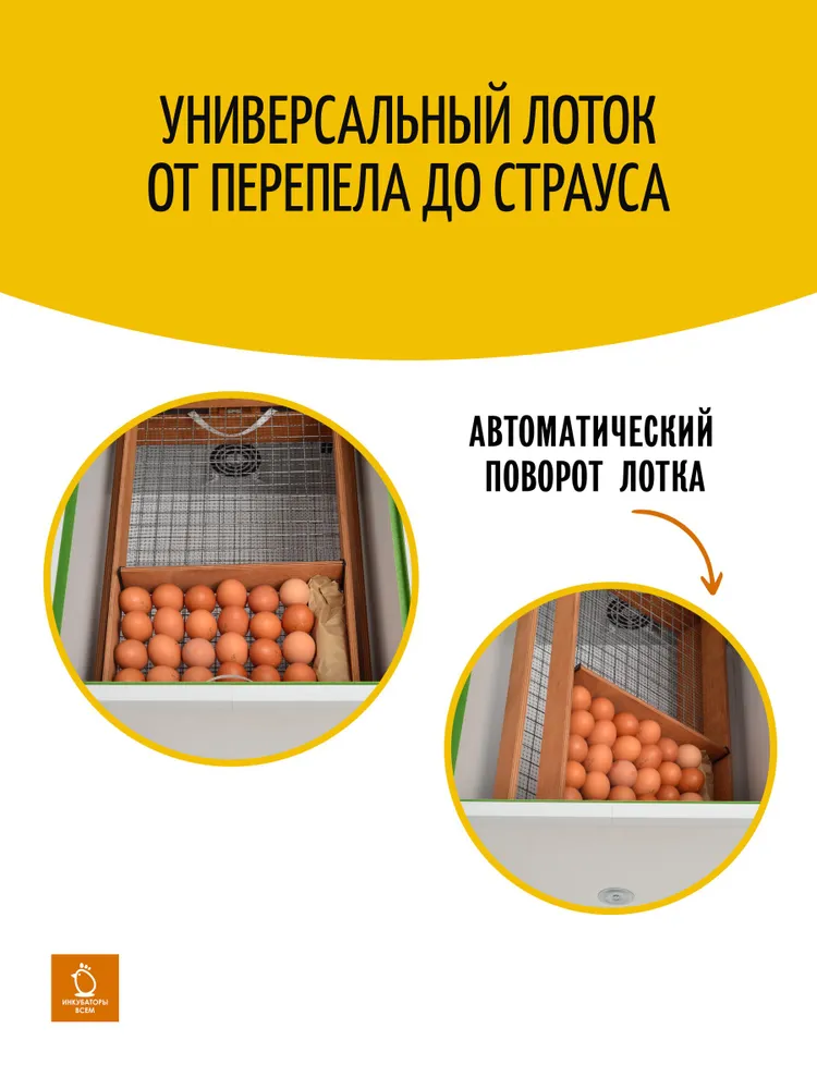 Инкубатор для яиц автоматический профессиональный Норма Луппер на 72 яица 220/12v, вариант, фото 5